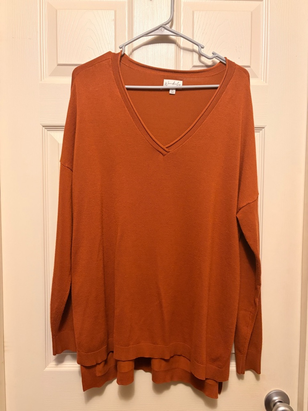 Wonderly Cozy V-Neck Tunic in Rust